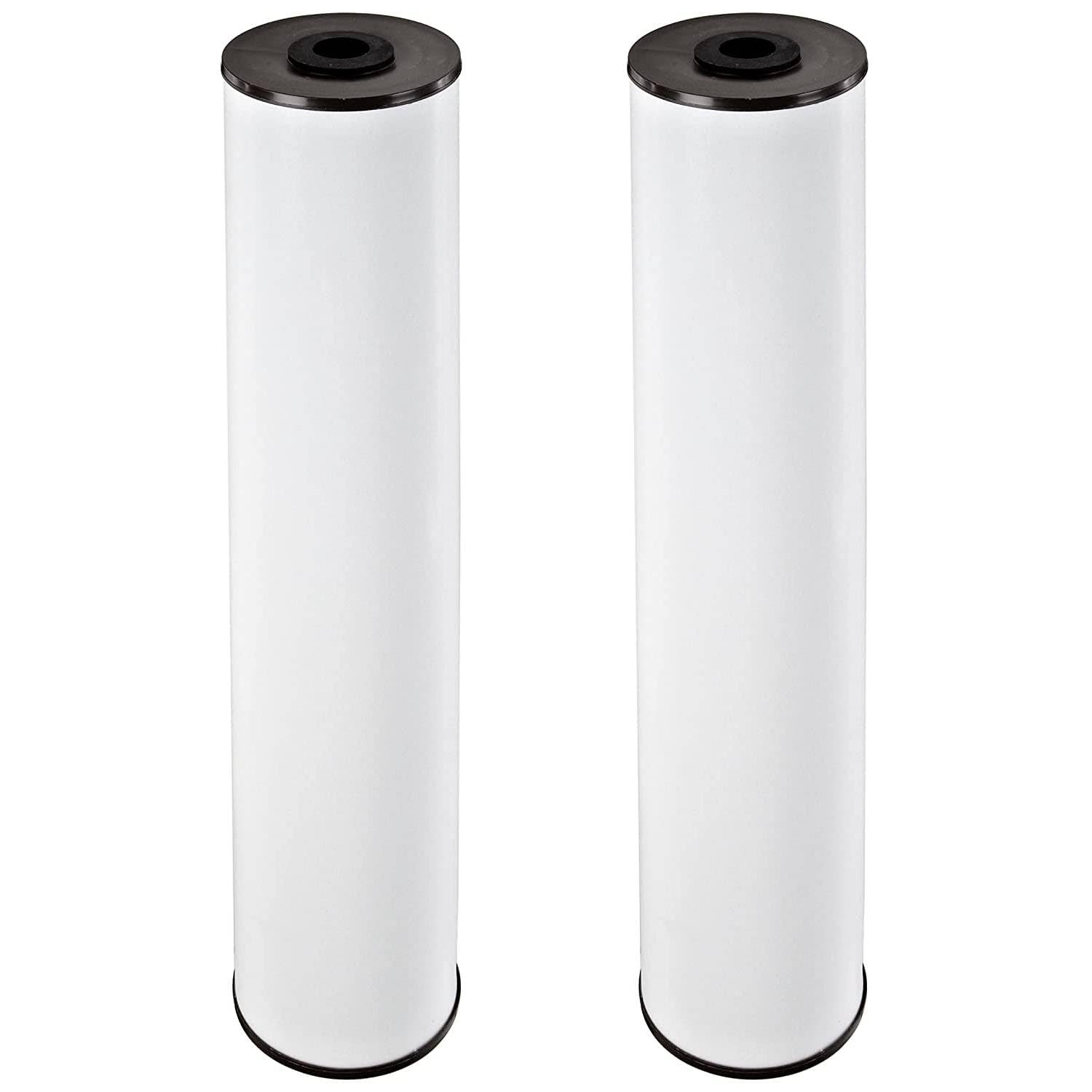 Pentek RFFE20-BB filter cartridge inside a Big Blue housing for whole-house filtration.