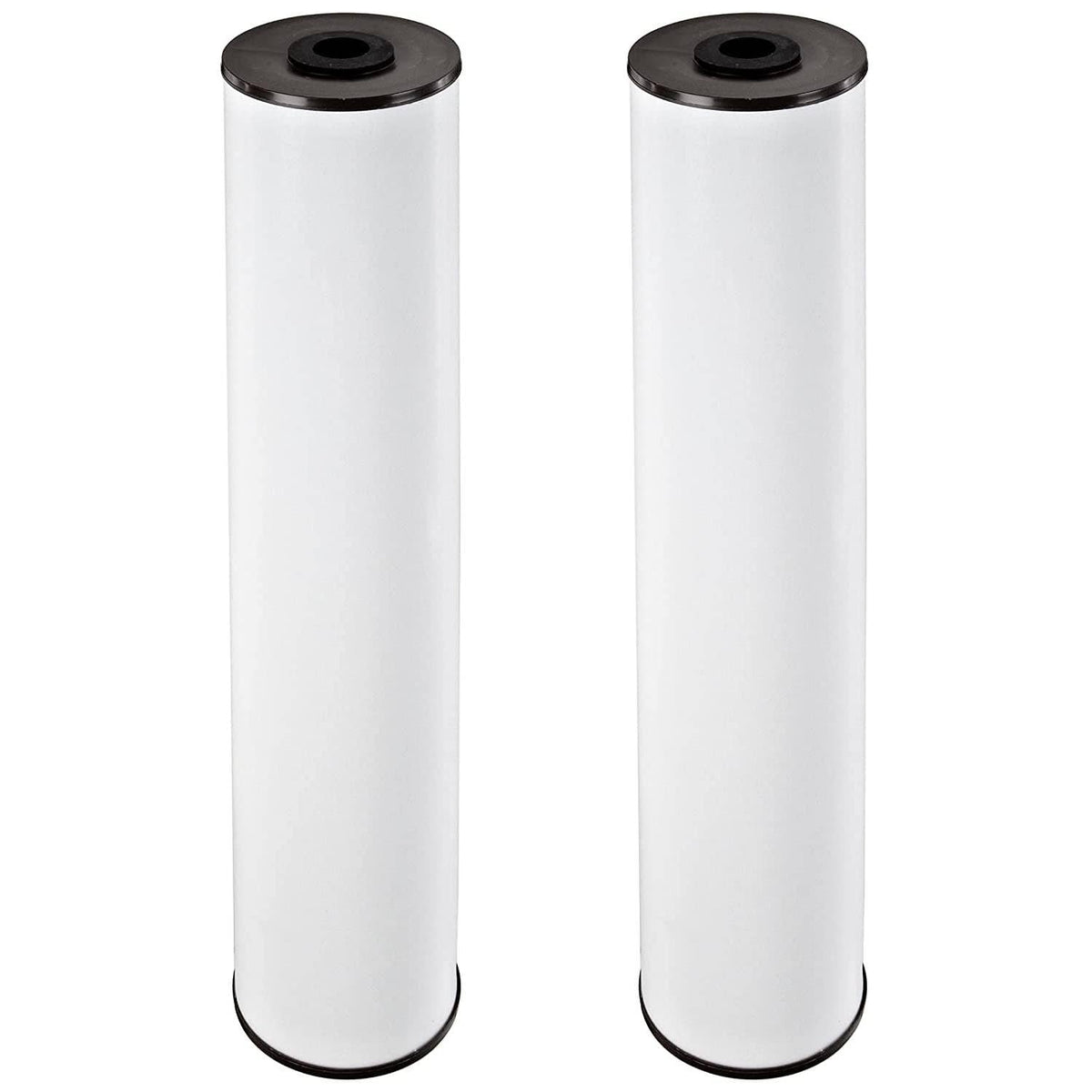 Pentek RFFE20-BB filter cartridge inside a Big Blue housing for whole-house filtration.