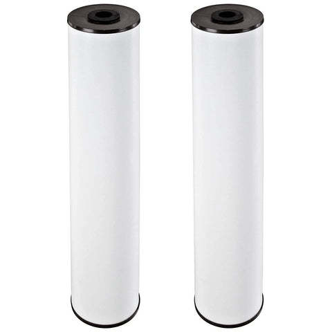 Pentek RFFE20-BB filter cartridge inside a Big Blue housing for whole-house filtration.