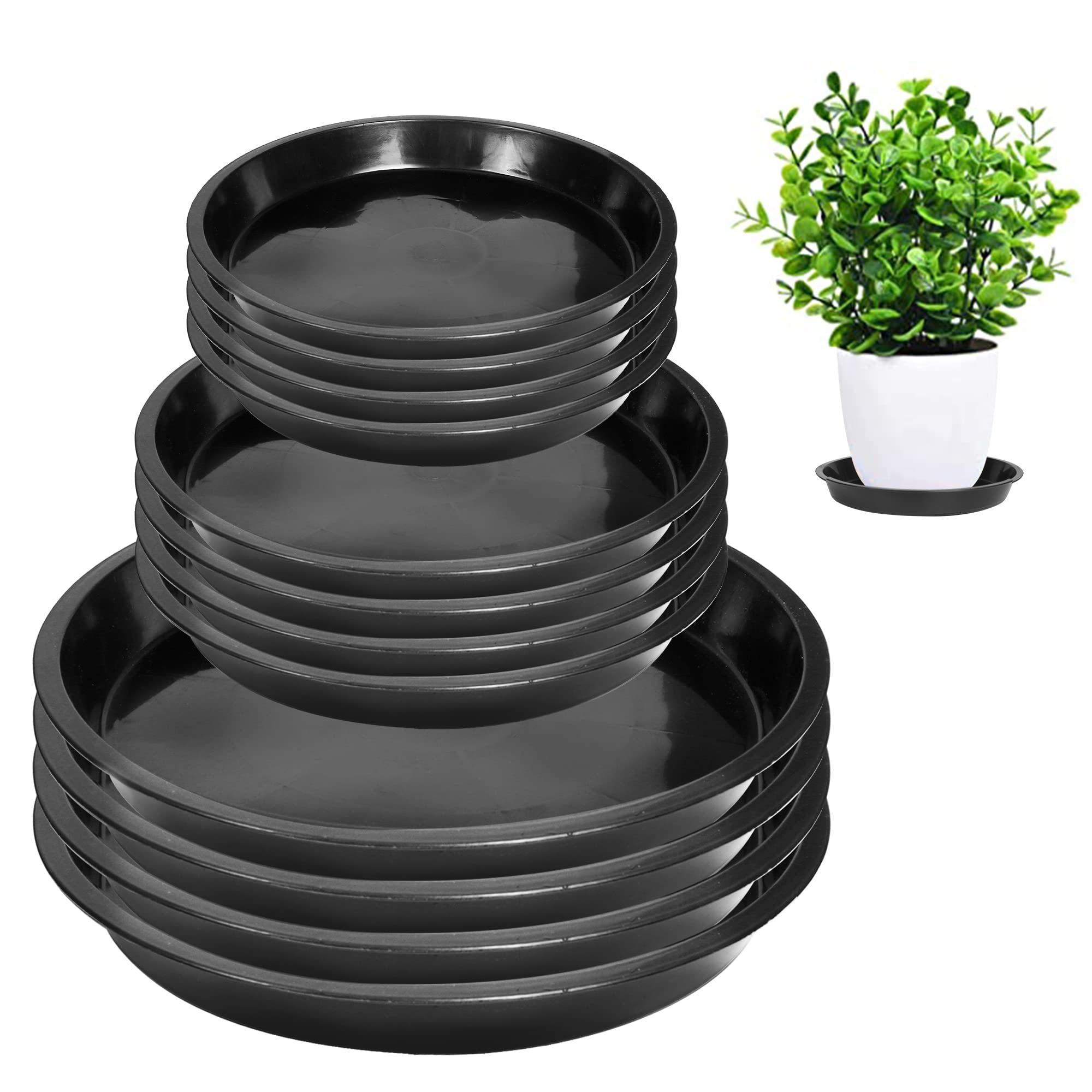 PeoMev 6-inch round plant saucer protects surfaces by catching excess water.