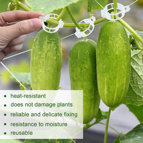 PEOUWNES vegetable clips on trellis promote upright growth and airflow.