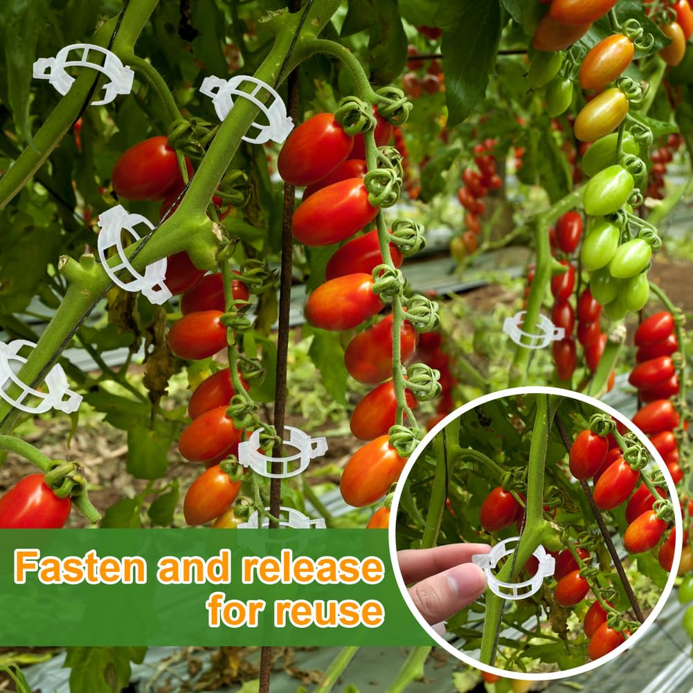 PEOUWNES vertical garden setup with clips keeps plants tidy.