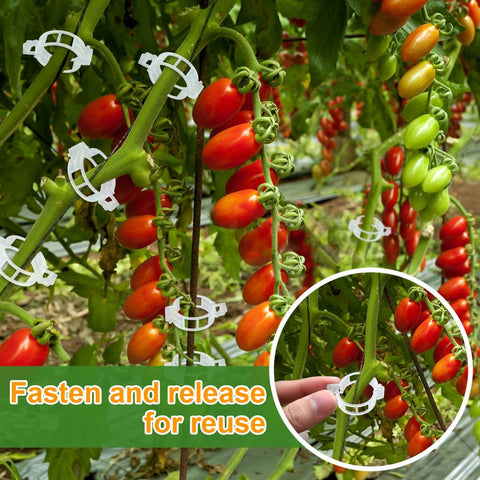 PEOUWNES vertical garden setup with clips keeps plants tidy.