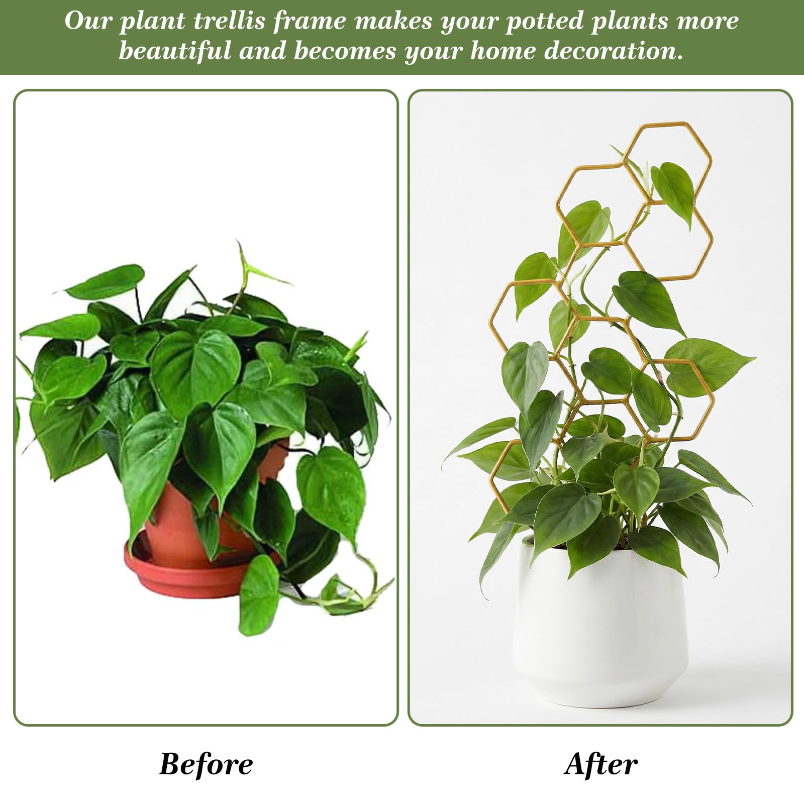PEOVLVN decorative trellis for plants enhances home decor while guiding growth.