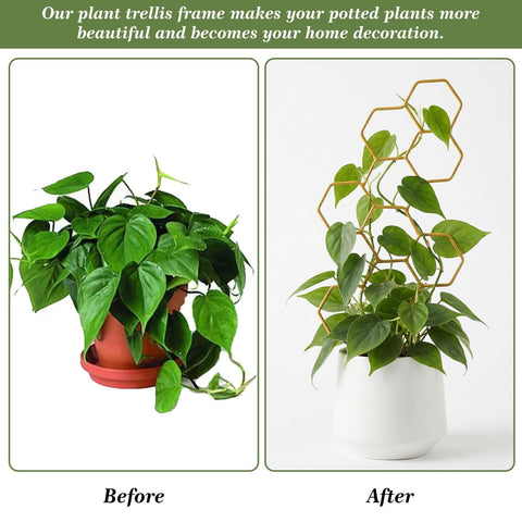 PEOVLVN decorative trellis for plants enhances home decor while guiding growth.