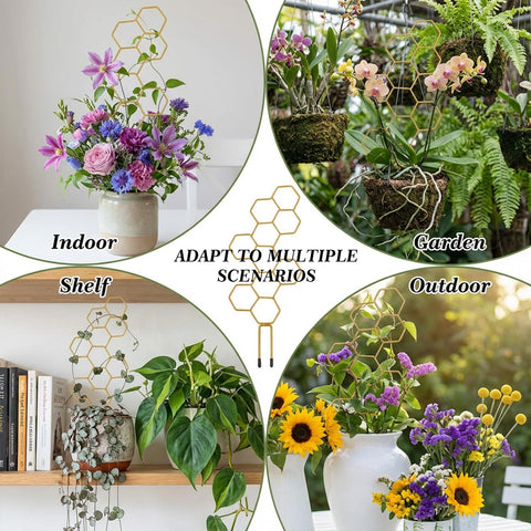 PEOVLVN honeycomb design trellis shown as stylish plant support.