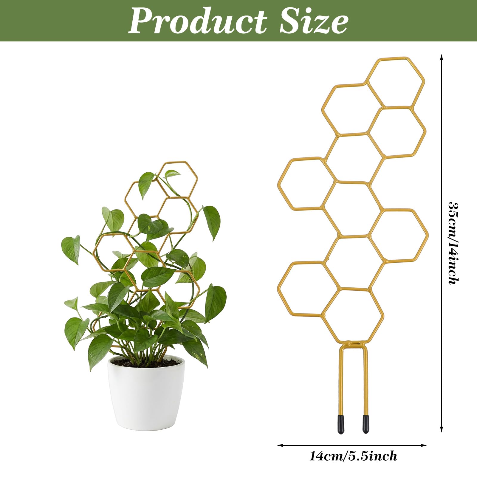 PEOVLVN iron trellis with gold finish adds rust resistance and style.
