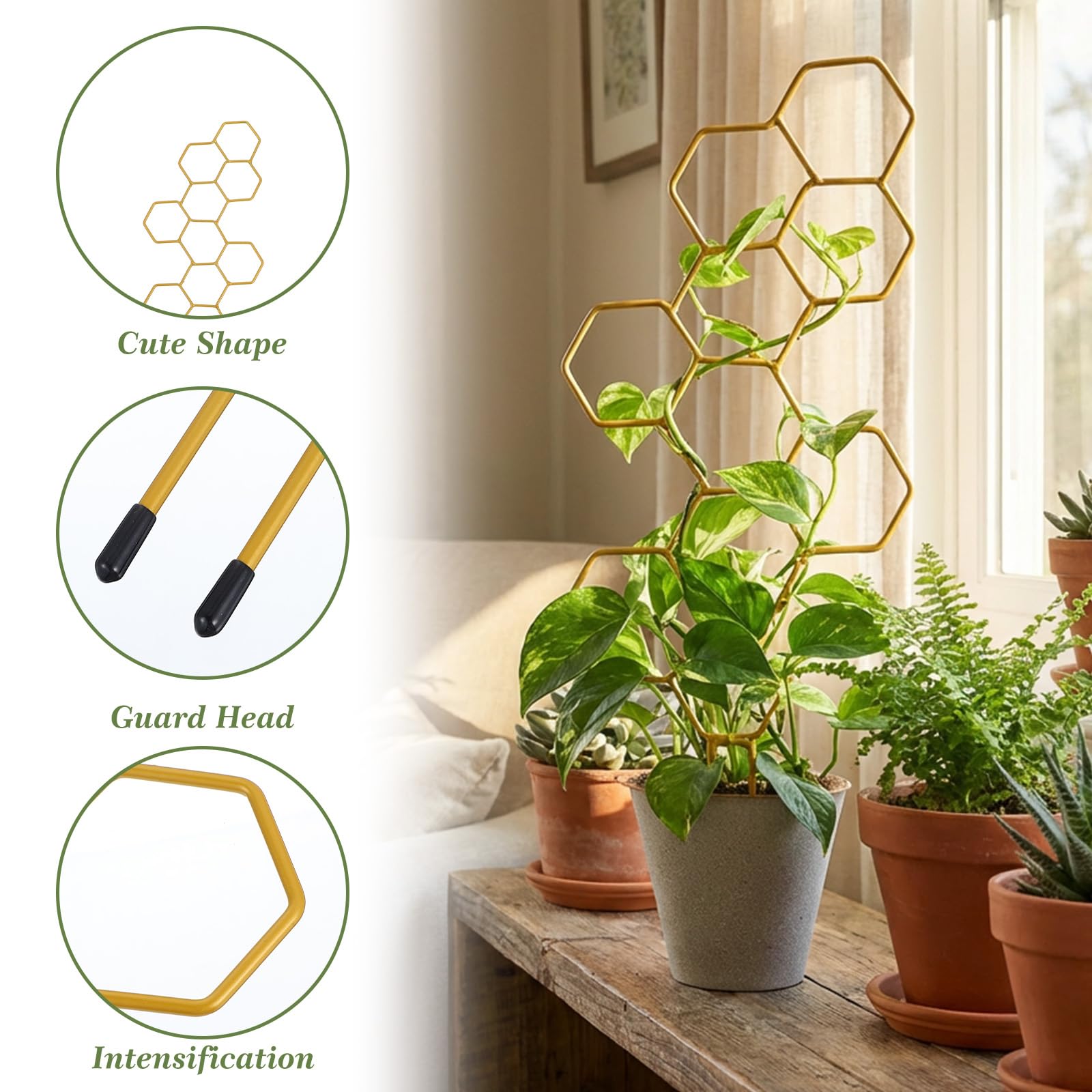 PEOVLVN potted plant climbing support keeps vines upright at 14 cm.