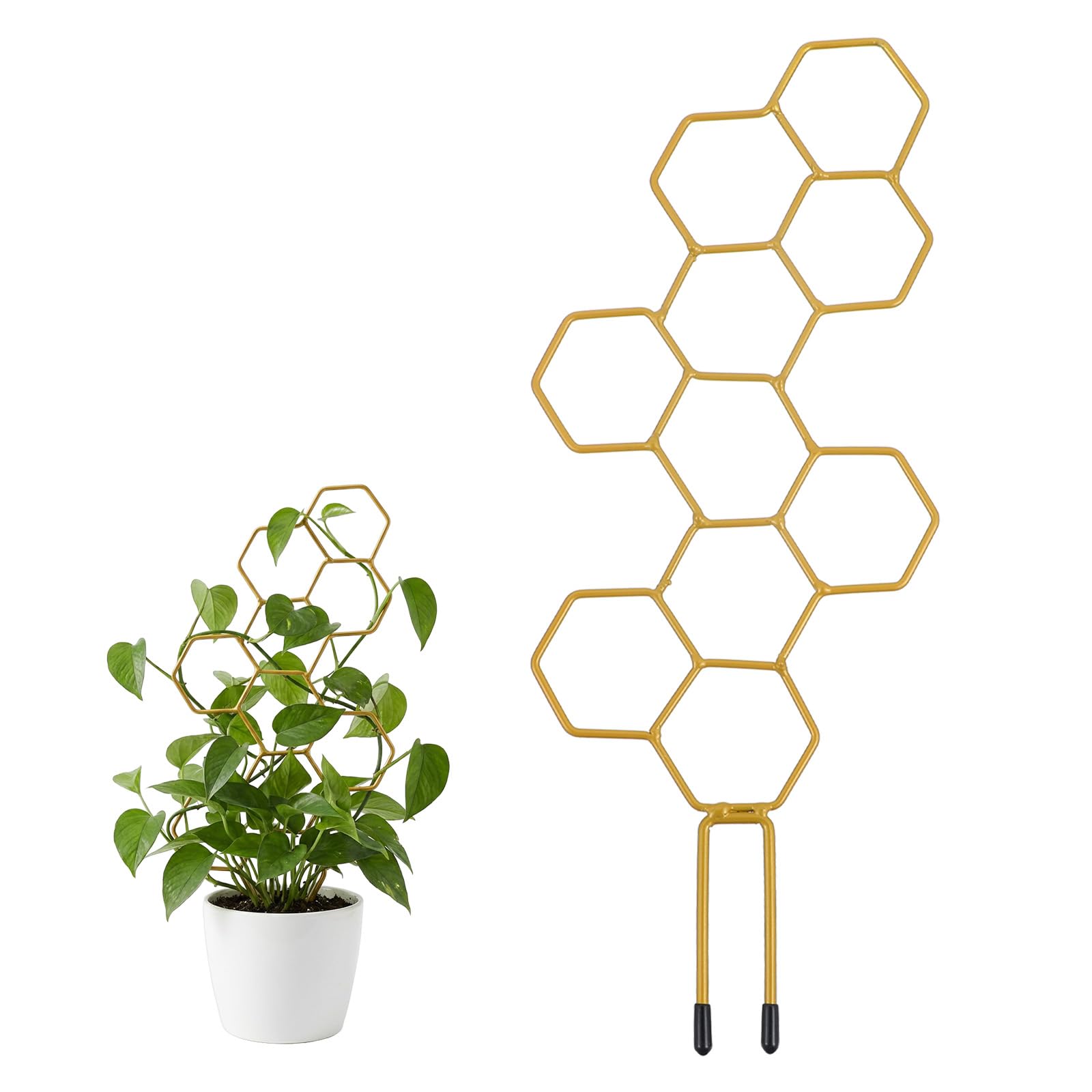 PEOVLVN small honeycomb trellis indoors supports climbing plants for better light.