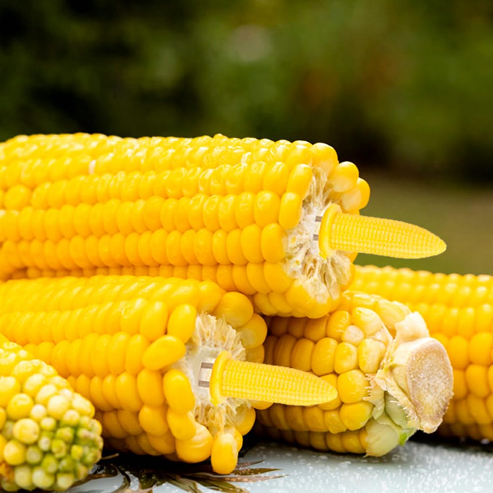 PEOUWNES easy-grip corn holders keep handling neat and simple