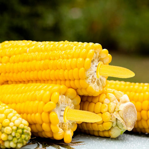 PEOUWNES easy-grip corn holders keep handling neat and simple