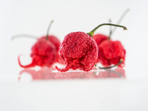 Pepper Joe's Carolina Reaper seeds closeup—high-quality non-GMO seeds for reliable germination.