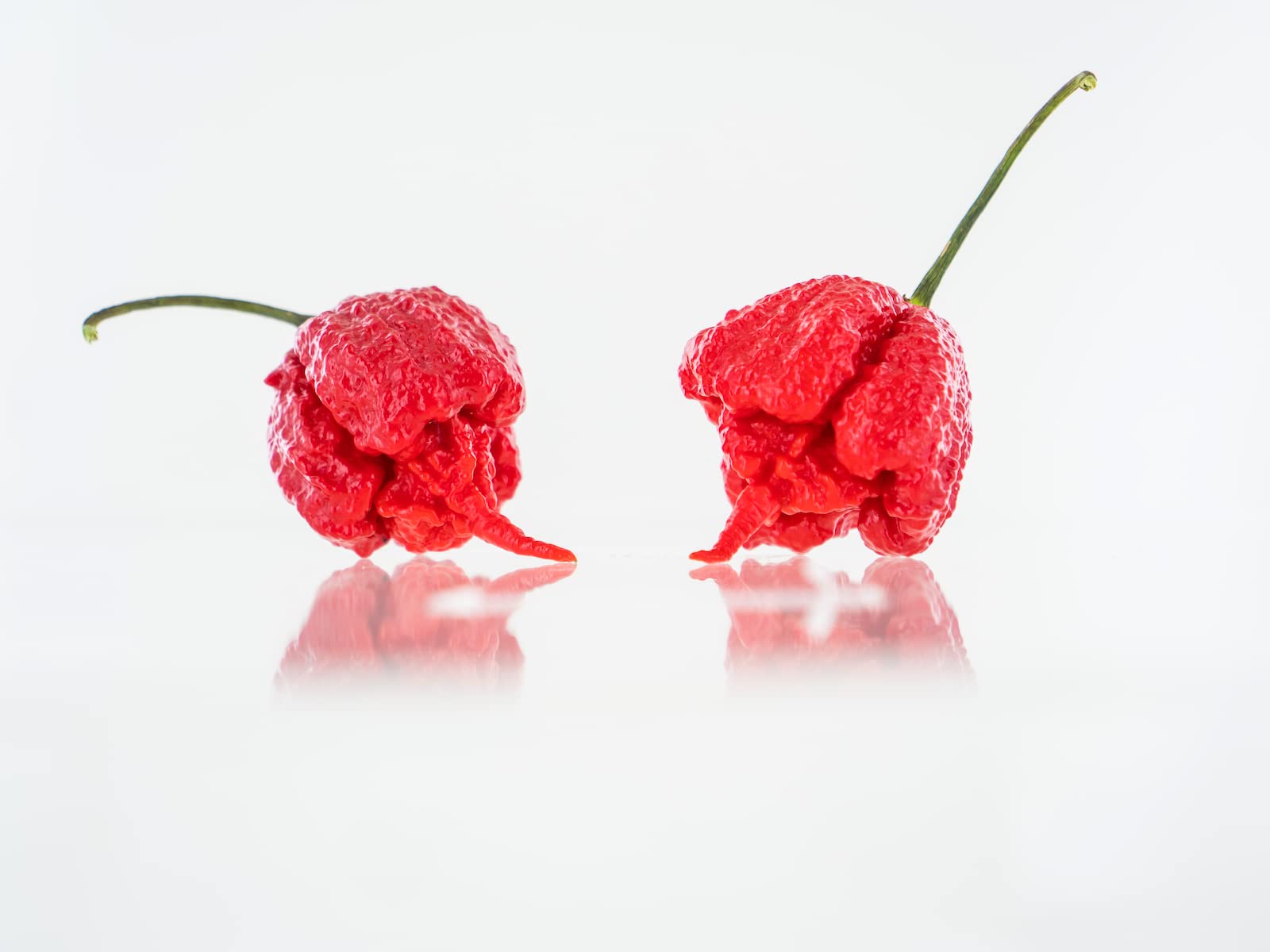 Pepper Joe's hand-harvested Reaper seeds—carefully selected from mature peppers.