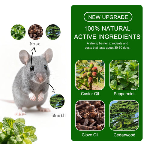 Peppermint Mice Repellent Ball indoor use illustrates family-safe pest deterrence.
