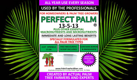 Perfect Palm ground application demonstrates easy soil sprinkling around palm bases.