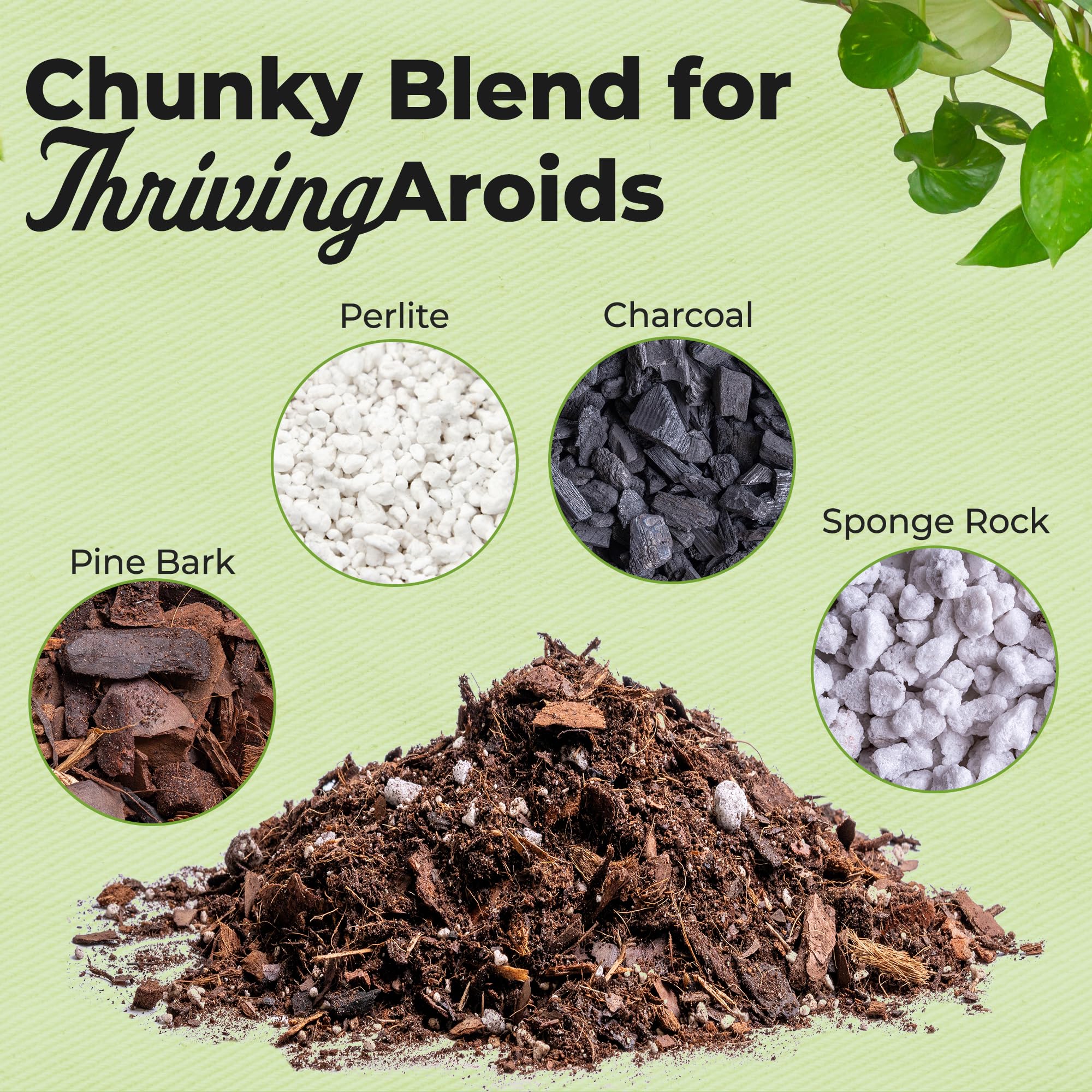 Perfect Plants Aroid Potting Mix with charcoal and perlite improving drainage for healthy roots.
