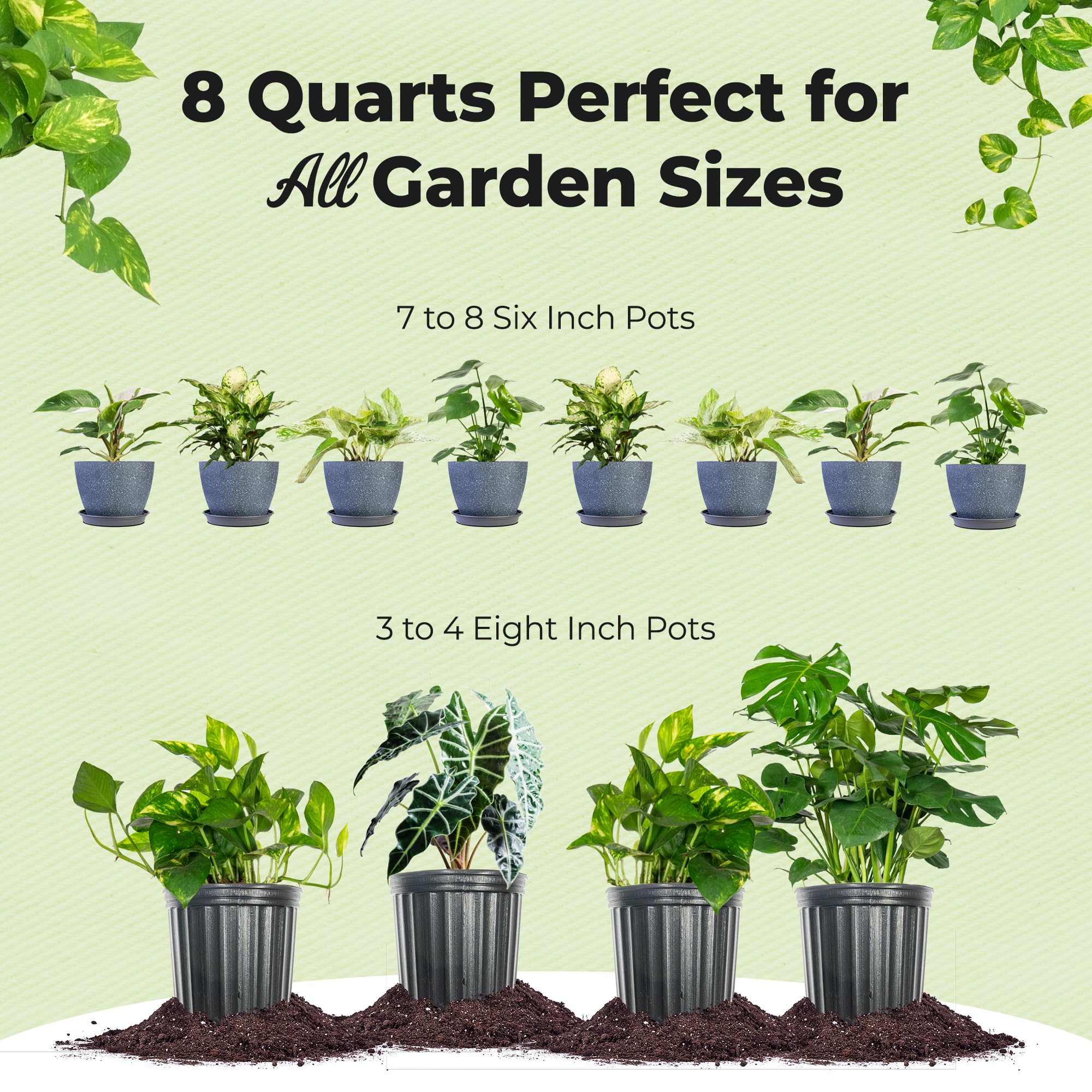 Perfect Plants Aroid Potting Mix promotes vibrant foliage and strong roots in tropical houseplants.