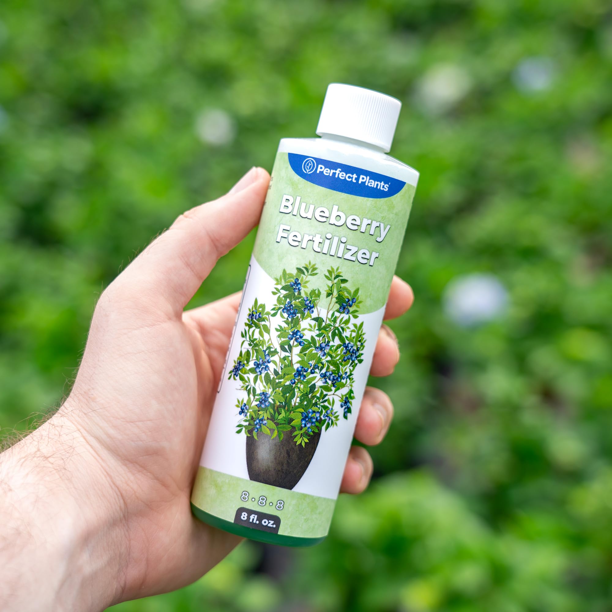 Liquid Blueberry Fertilizer bottle pouring into water to boost growth