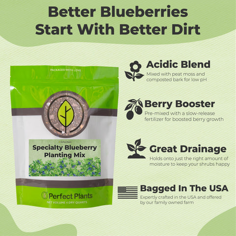 Pouring Perfect Plants blueberry potting mix shows easy container use