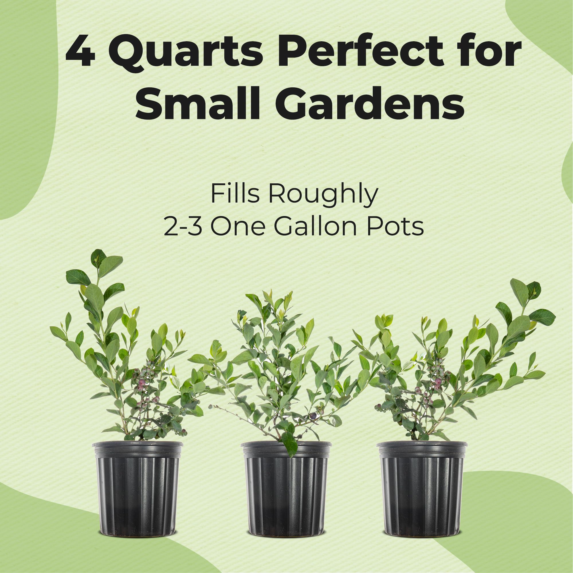 Ingredients of Perfect Plants blueberry potting mix include pine bark and granite sand