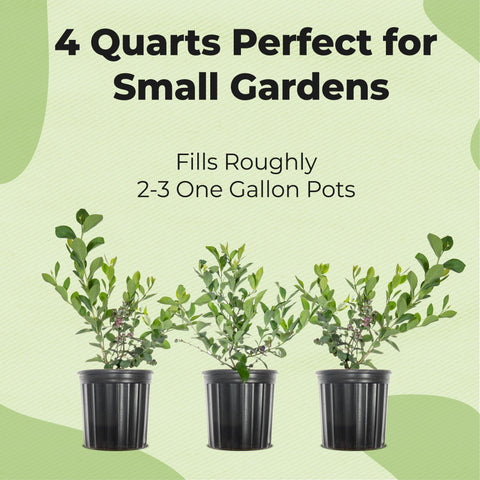 Ingredients of Perfect Plants blueberry potting mix include pine bark and granite sand