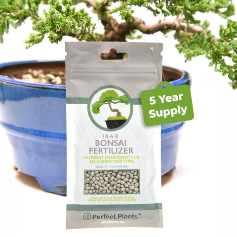 Perfect Plants bonsai fertilizer pellets in a jar support healthy growth and rich soil.