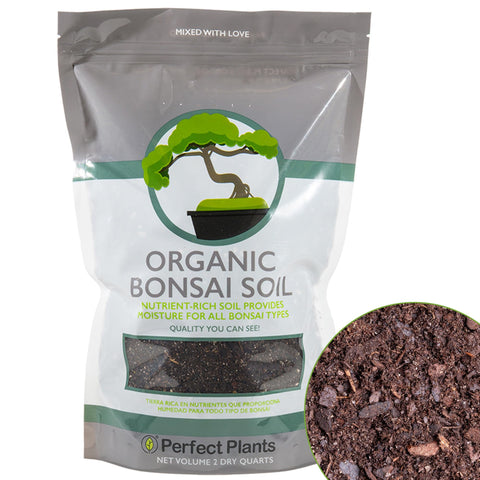 Perfect Plants Bonsai Soil 2 qts bag for potting and steady nutrients.