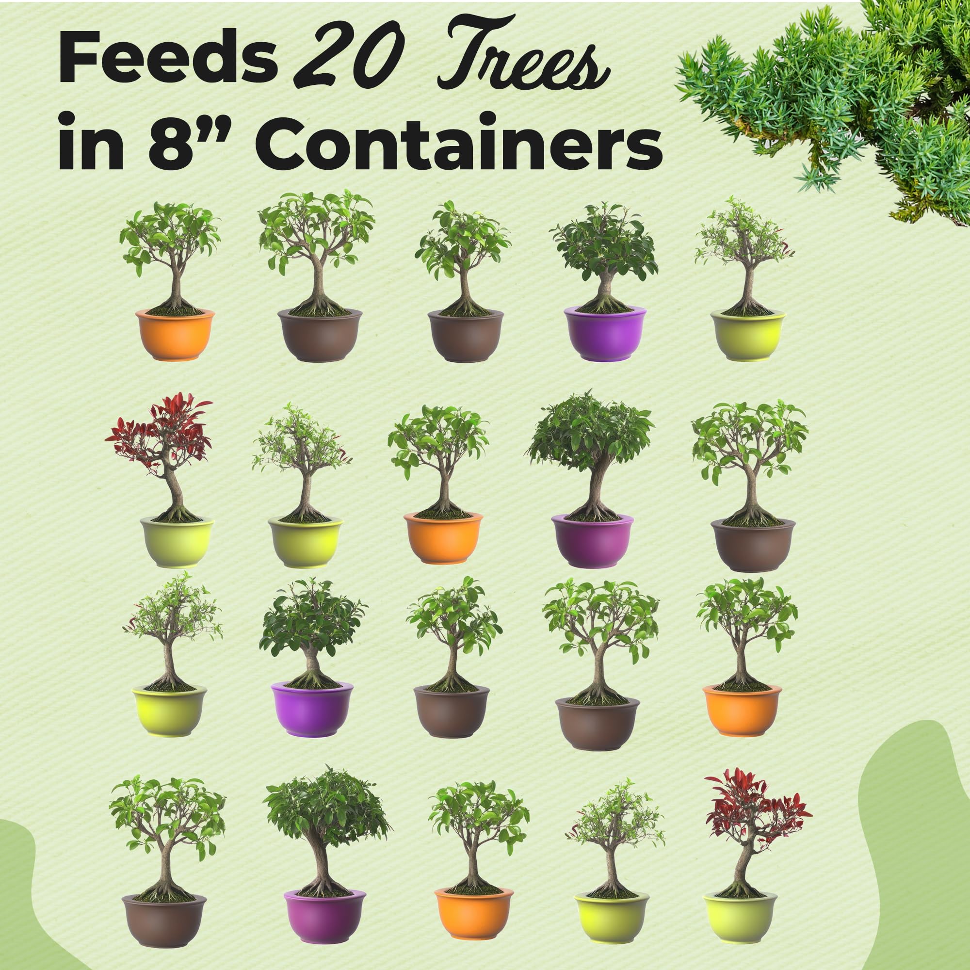 Perfect Plants bonsai varieties thrive with this all-natural slow-release formula.