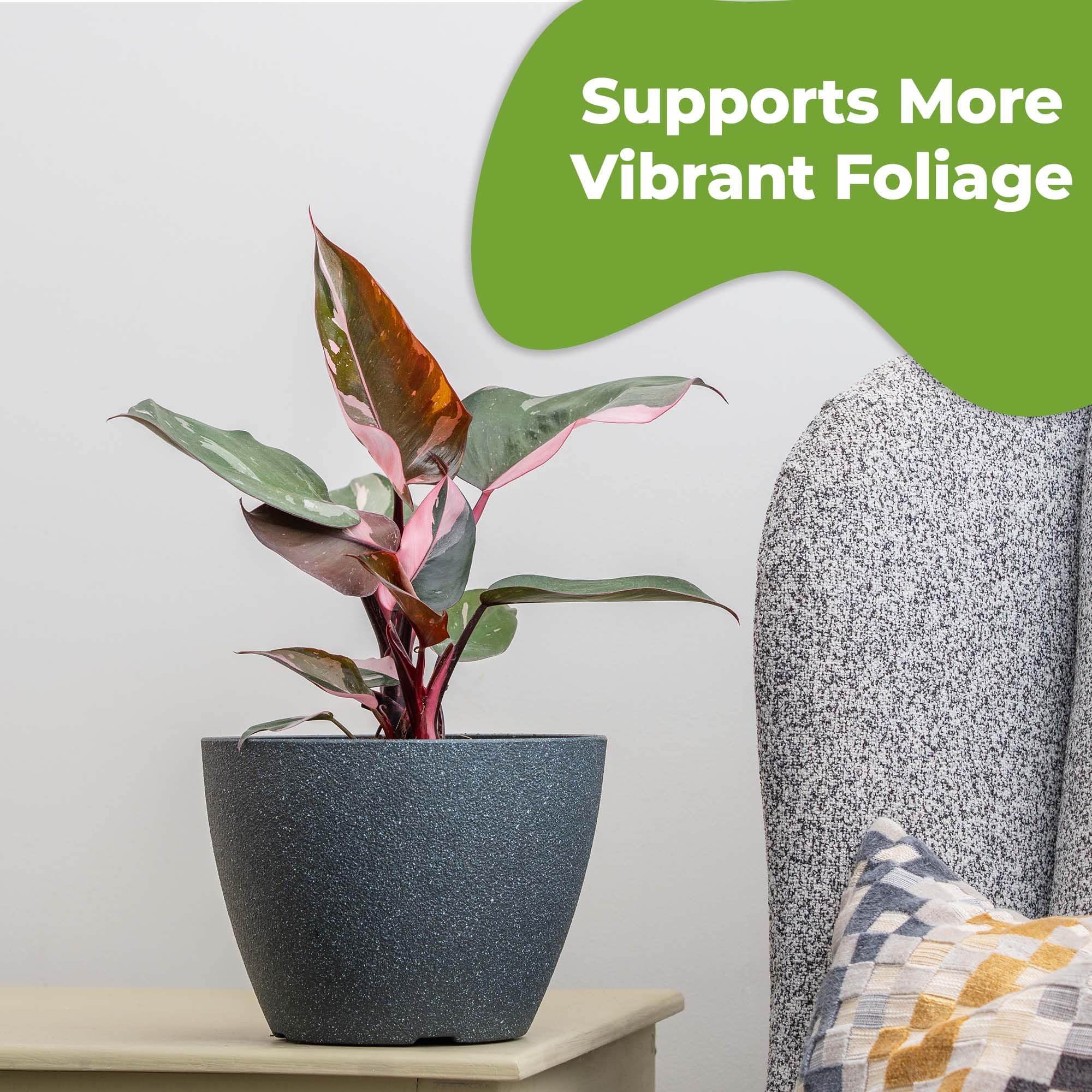 Perfect Plants ready-to-use bottle for ongoing plant care through seasons