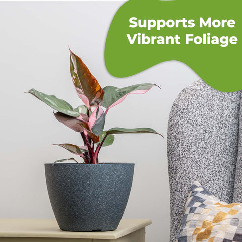 Perfect Plants ready-to-use bottle for ongoing plant care through seasons
