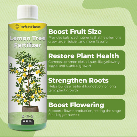 Perfect Plants Citrus Fertilizer glass dilution demonstrates simple feeding for healthy roots.
