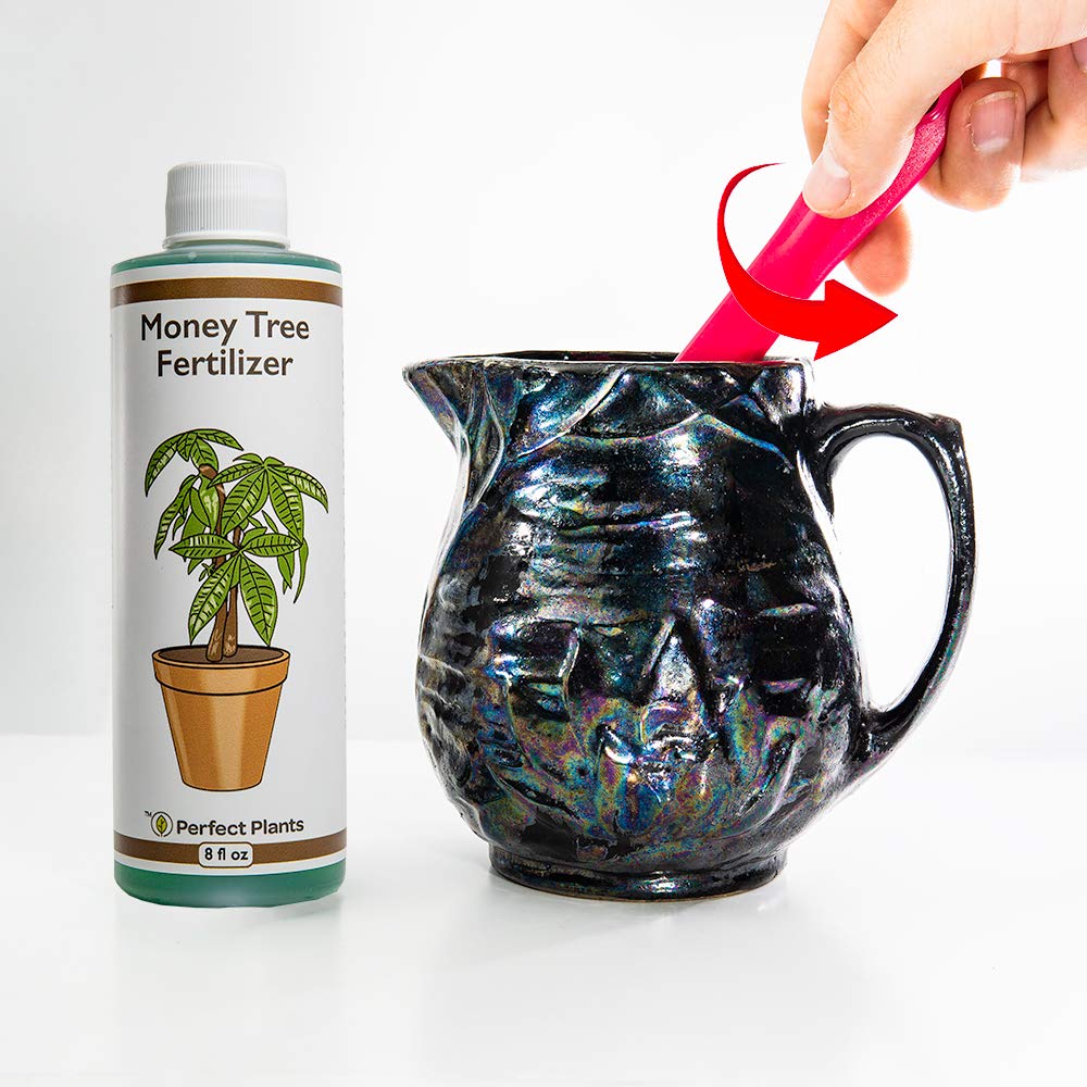 Perfect Plants applying fertilizer during watering for easy care.