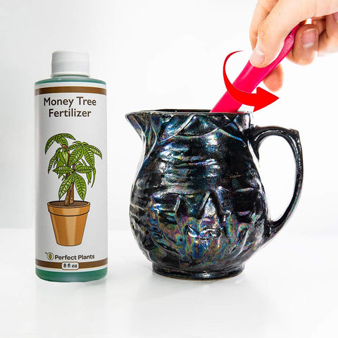 Perfect Plants applying fertilizer during watering for easy care.