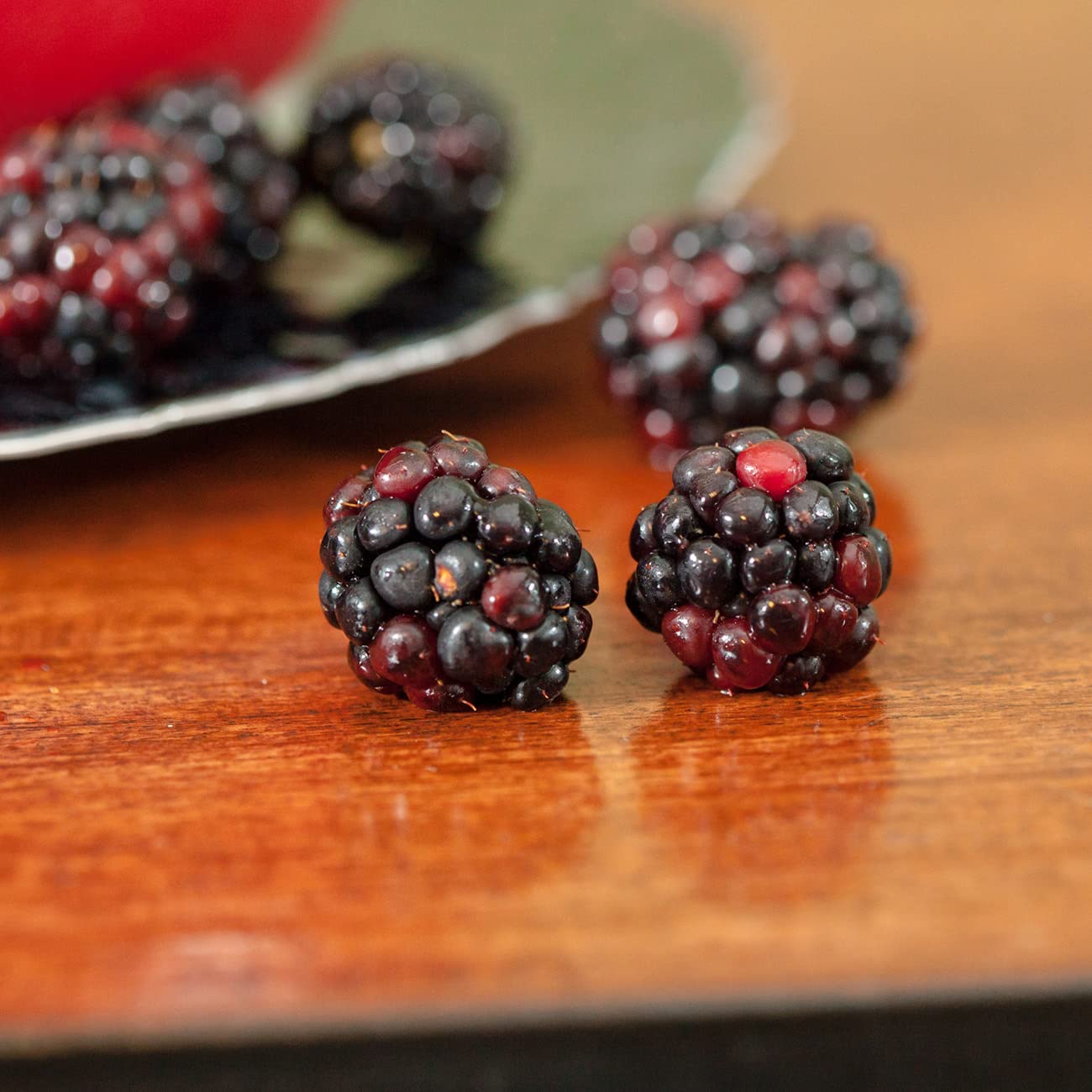 Perfect Plants Triple Crown thriving in full sun for robust outdoor berry production.