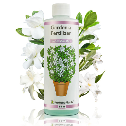 PERFECT PLANTS Gardenia liquid fertilizer bottle pour boosts blooms and foliage.