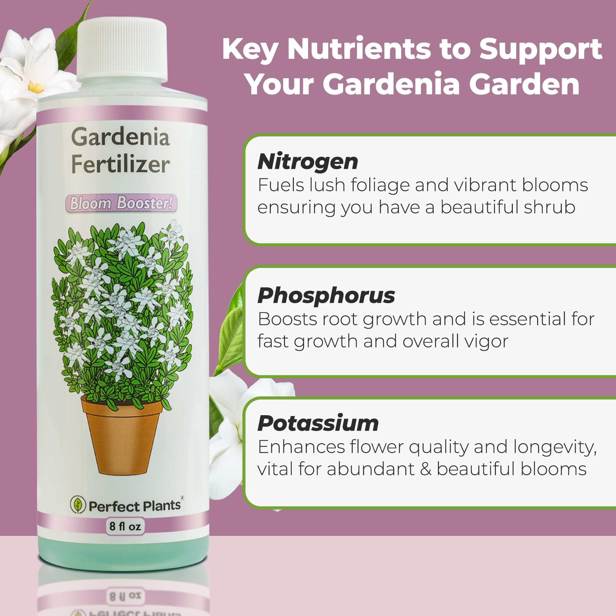 PERFECT PLANTS Gardenia fertilizer being mixed for potted plants to enhance flowering.