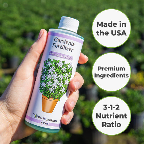 PERFECT PLANTS Gardenia fertilizer used in outdoor landscapes to deepen colors.