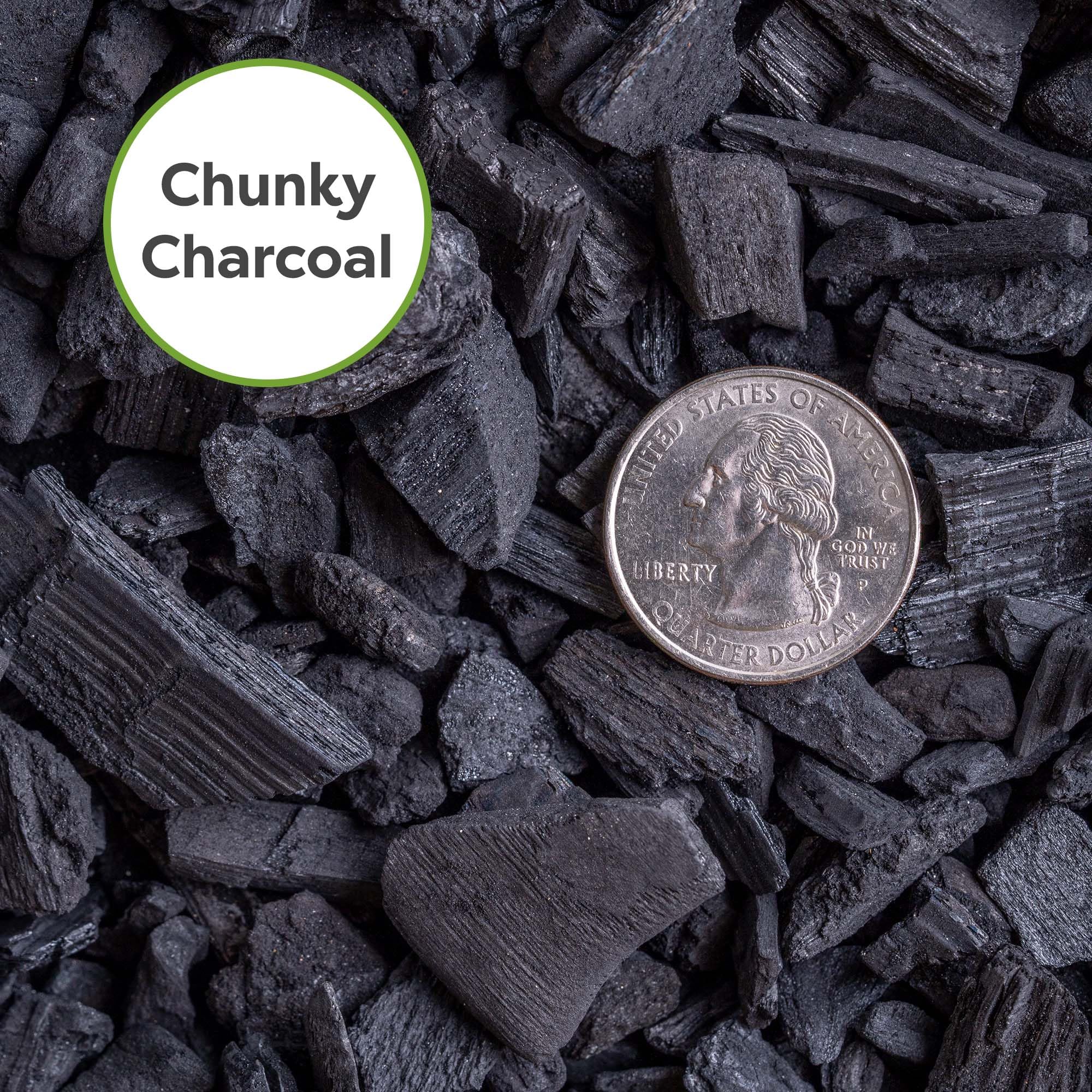 PERFECT PLANTS Horticultural Charcoal closeup granules show soil conditioning potential.