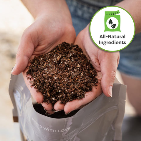 PERFECT PLANTS 2qt bag supports quick indoor tree growth and easy potting.