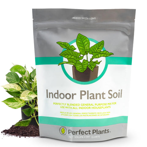 Perfect Plants indoor soil 4qt bag supports thriving potted plants.