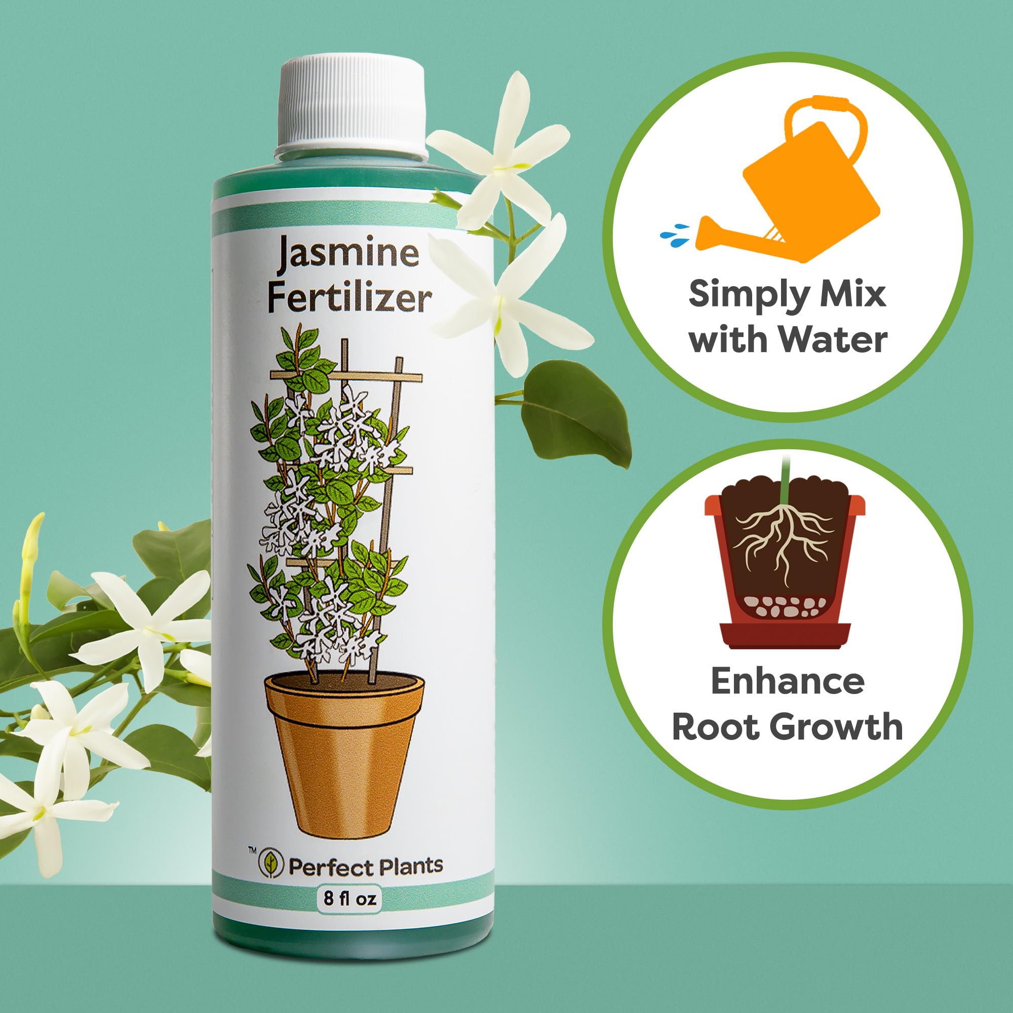 Perfect Plants Jasmine fertilizer enhances lush jasmine vine foliage for a fuller look.