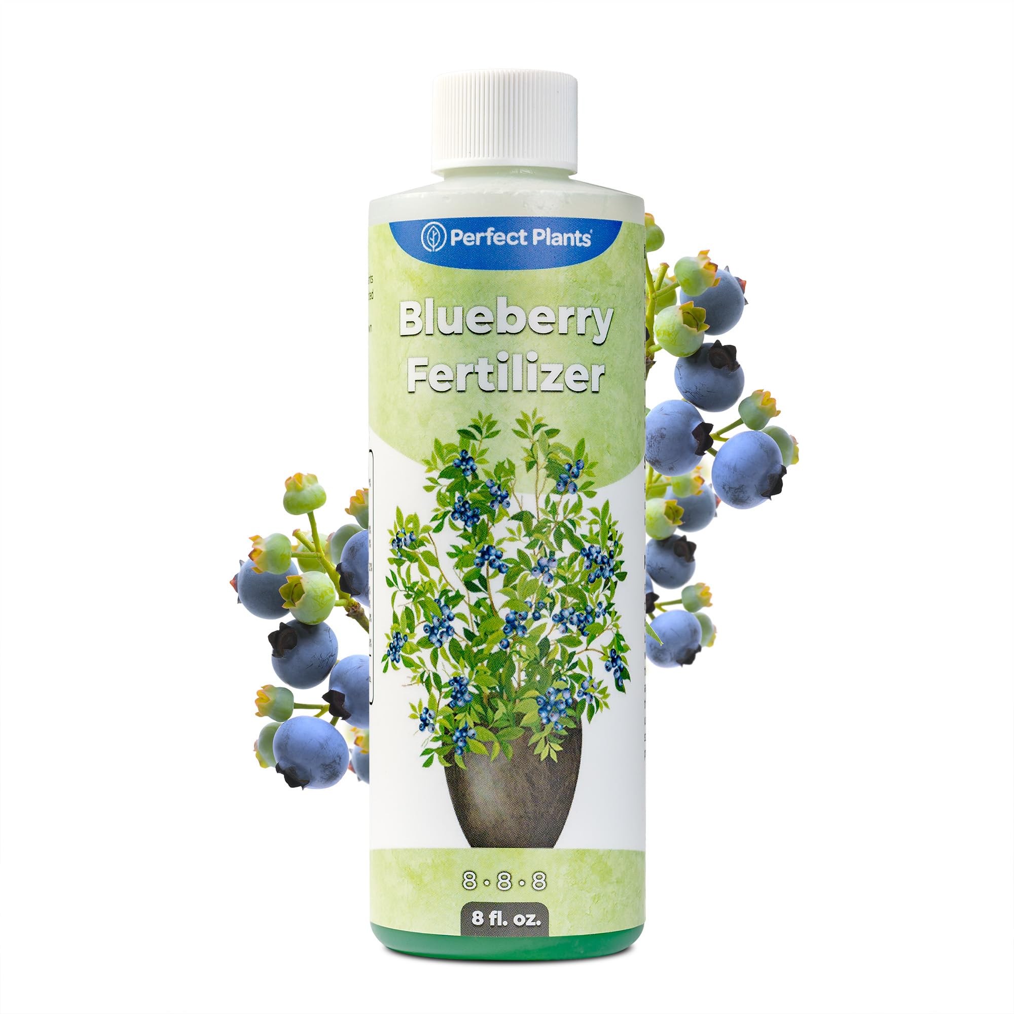 Perfect Plants Liquid Blueberry Fertilizer bottle ready to water for healthier blueberries