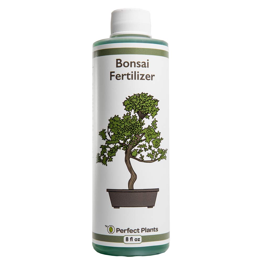 Perfect Plants Liquid Bonsai Fertilizer bottle pour enhances uptake for healthier foliage.