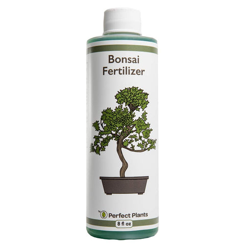 Perfect Plants Liquid Bonsai Fertilizer bottle pour enhances uptake for healthier foliage.