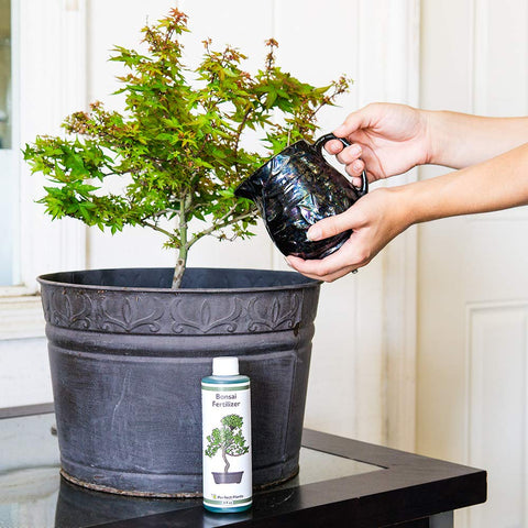 Perfect Plants Liquid Bonsai Fertilizer dosing measure helps precise watering.