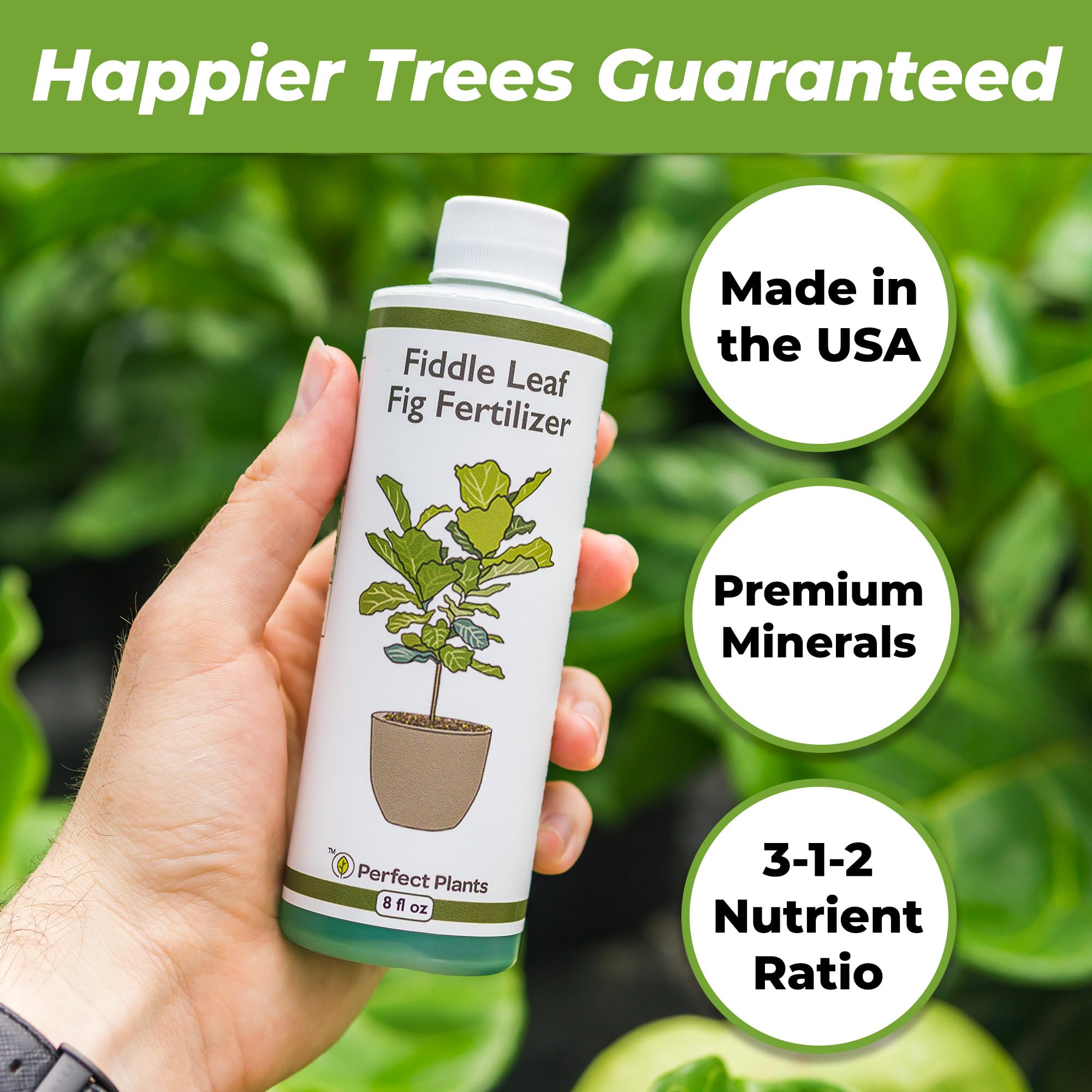 PERFECT PLANTS liquid fiddle leaf fig fertilizer being poured for precise dosing.