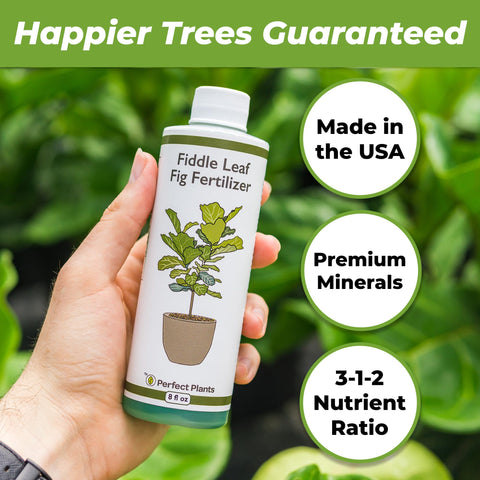PERFECT PLANTS liquid fiddle leaf fig fertilizer being poured for precise dosing.