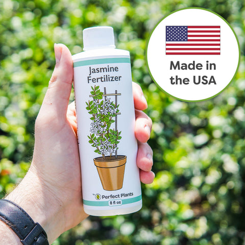 Perfect Plants Jasmine fertilizer pour cap enables precise dosing during watering.