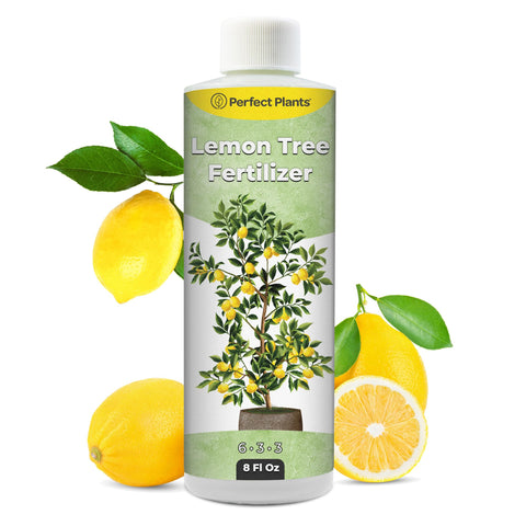 Perfect Plants Liquid Lemon Tree Fertilizer bottle pour nourishes lemon trees for vibrant growth.