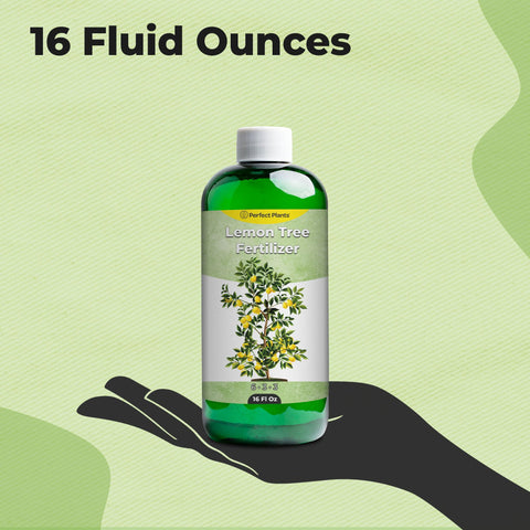 PERFECT PLANTS Liquid Lemon Tree Fertilizer being mixed with water for easy root nourishment.